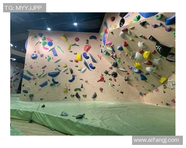 赛后复盘：武汉攀岩队与杭州攀岩队的战术意识与团队协作分析